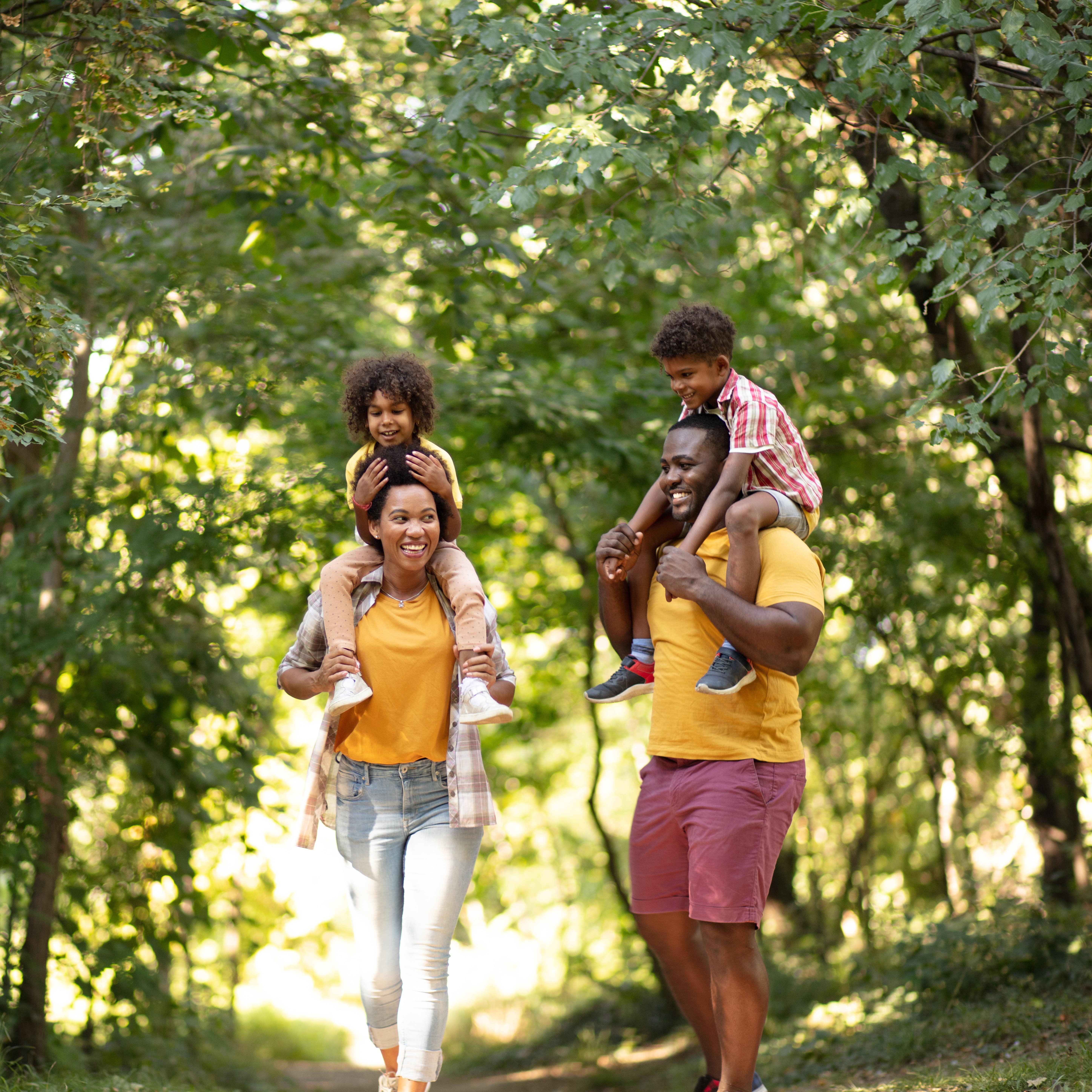 Family of four hiking through the woods
