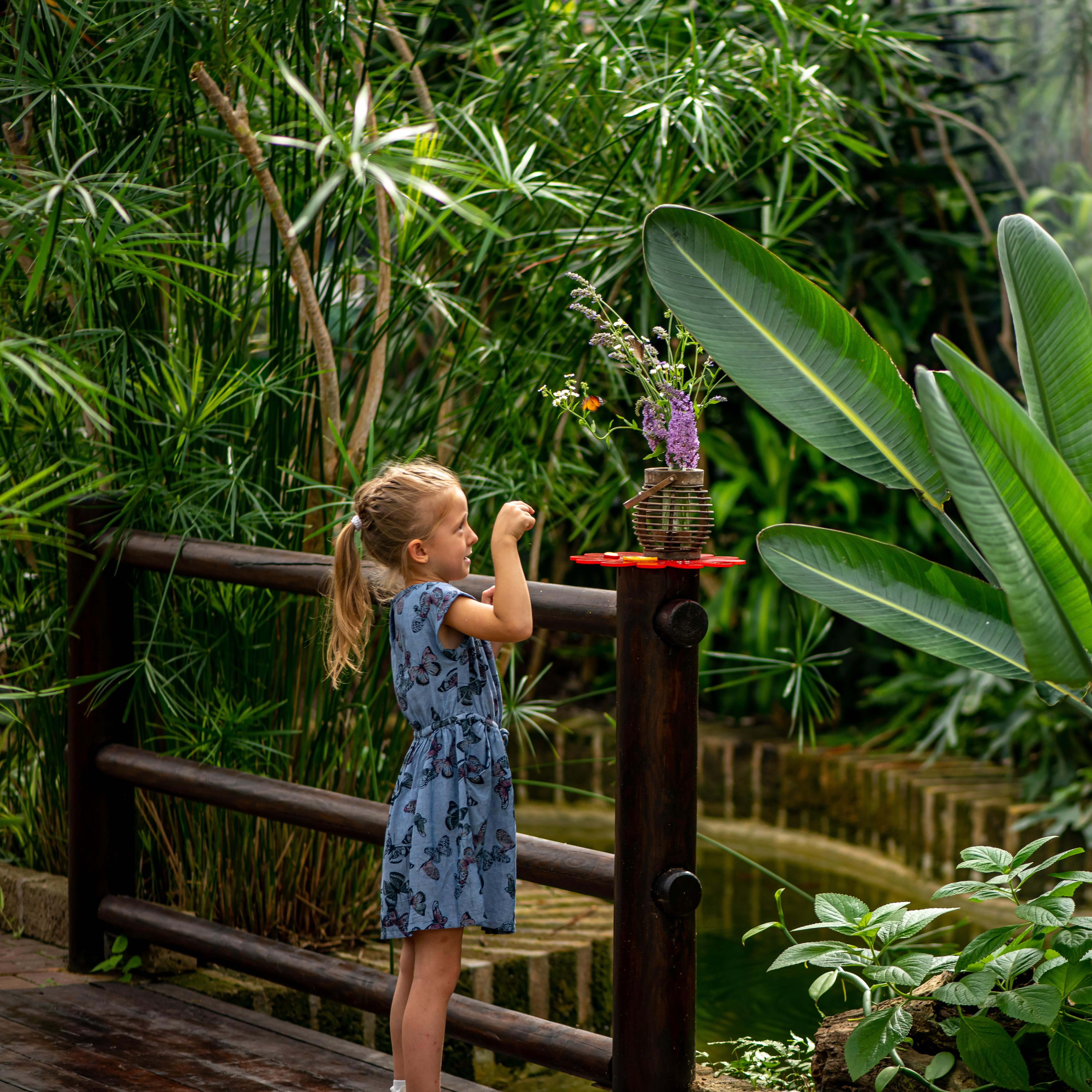 Young girl in the botanical garden looking at butterfly