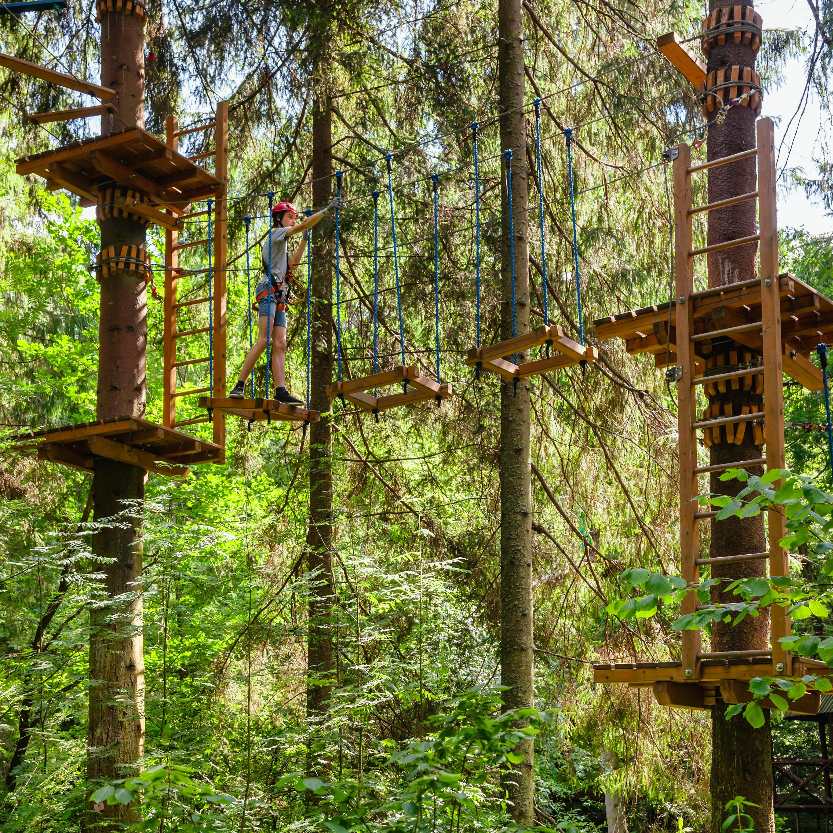 Person on a ropes course in a treetop adventure park with ladders in trees