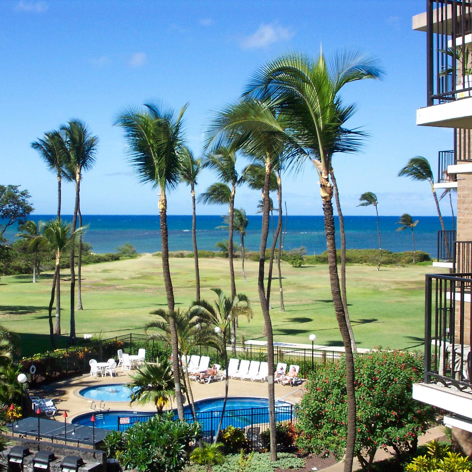 View overlooking the condo pool enclosed by a black metal fence and surrounded by palm trees with the ocean in the distance.