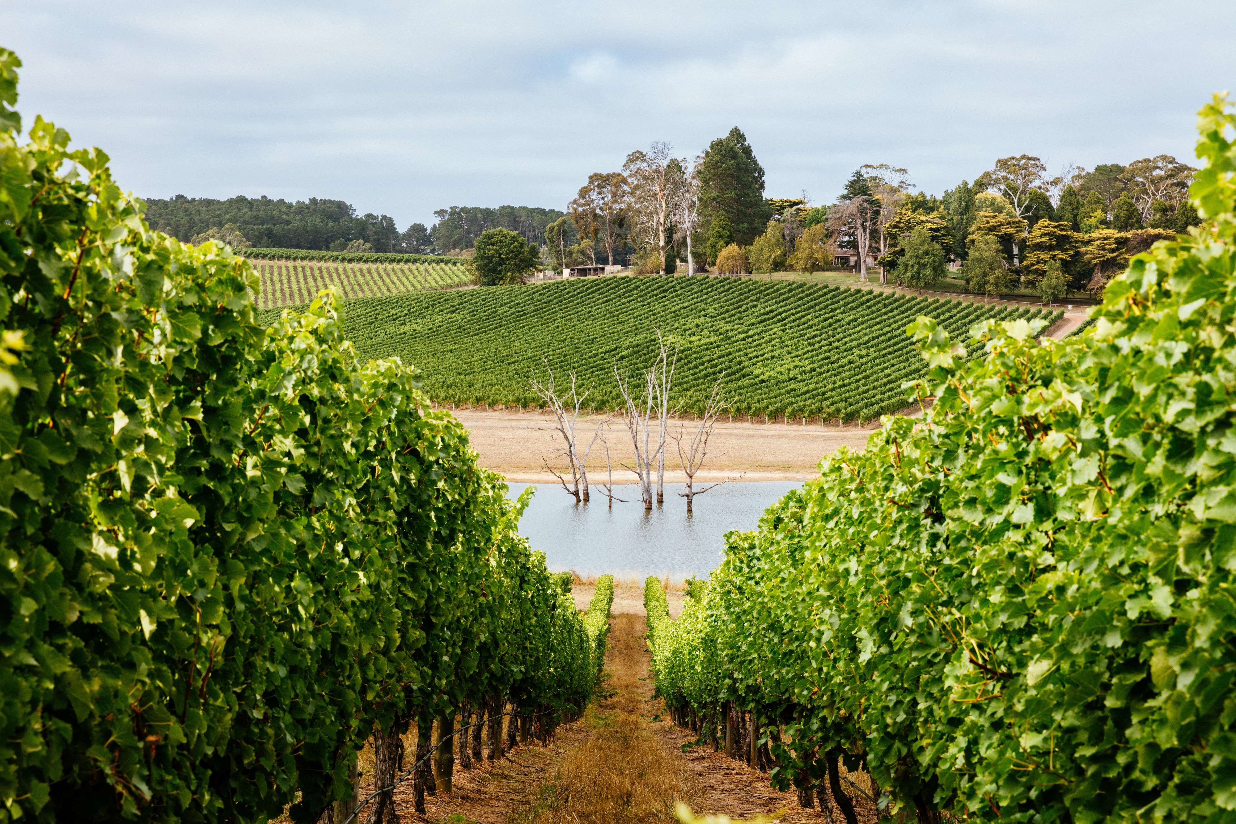 Shaw + Smith, Adelaide Hills