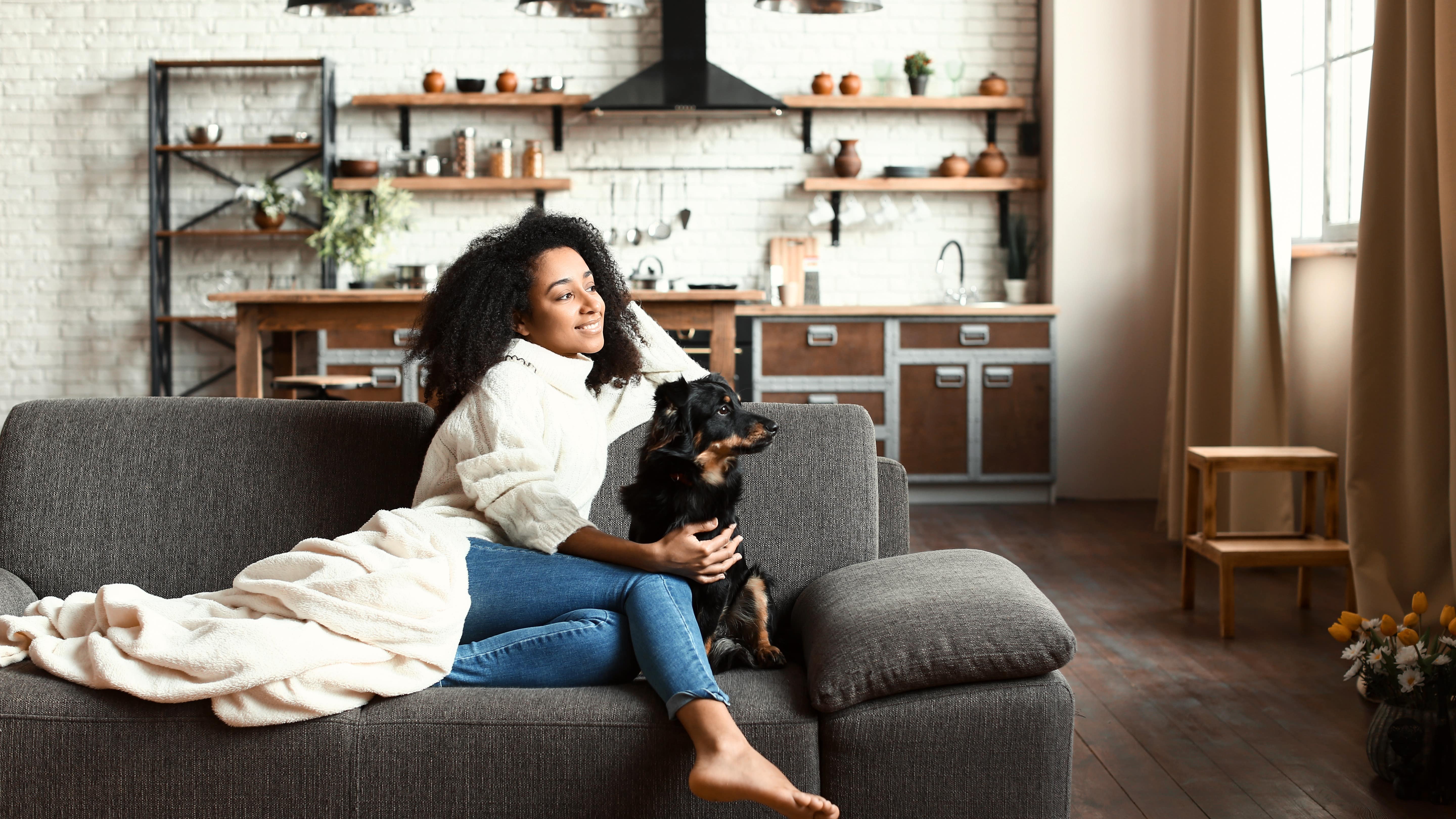 Explore the Premier State with pet-friendly accommodation in NSW