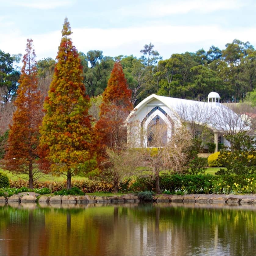 A peaceful pond with reflected trees, plants and flowers in Hunter Valley Gardens