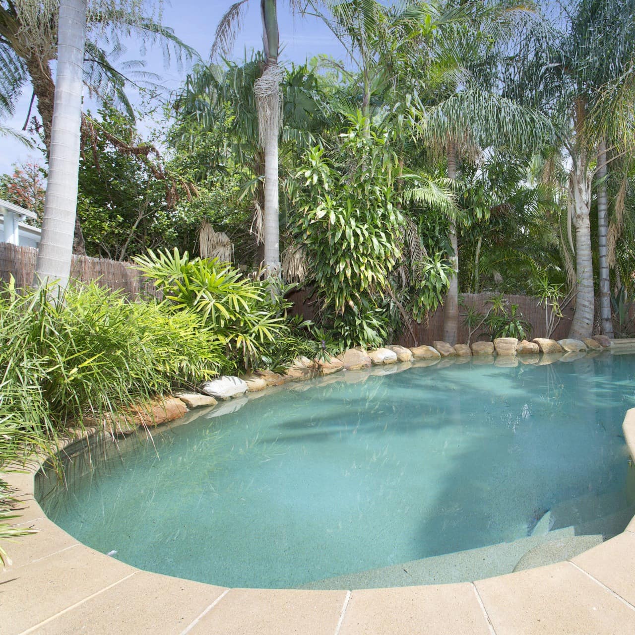 View of inground, curved pool surrounded by beige tile, natural rocks, and thick, tropical vegetation.