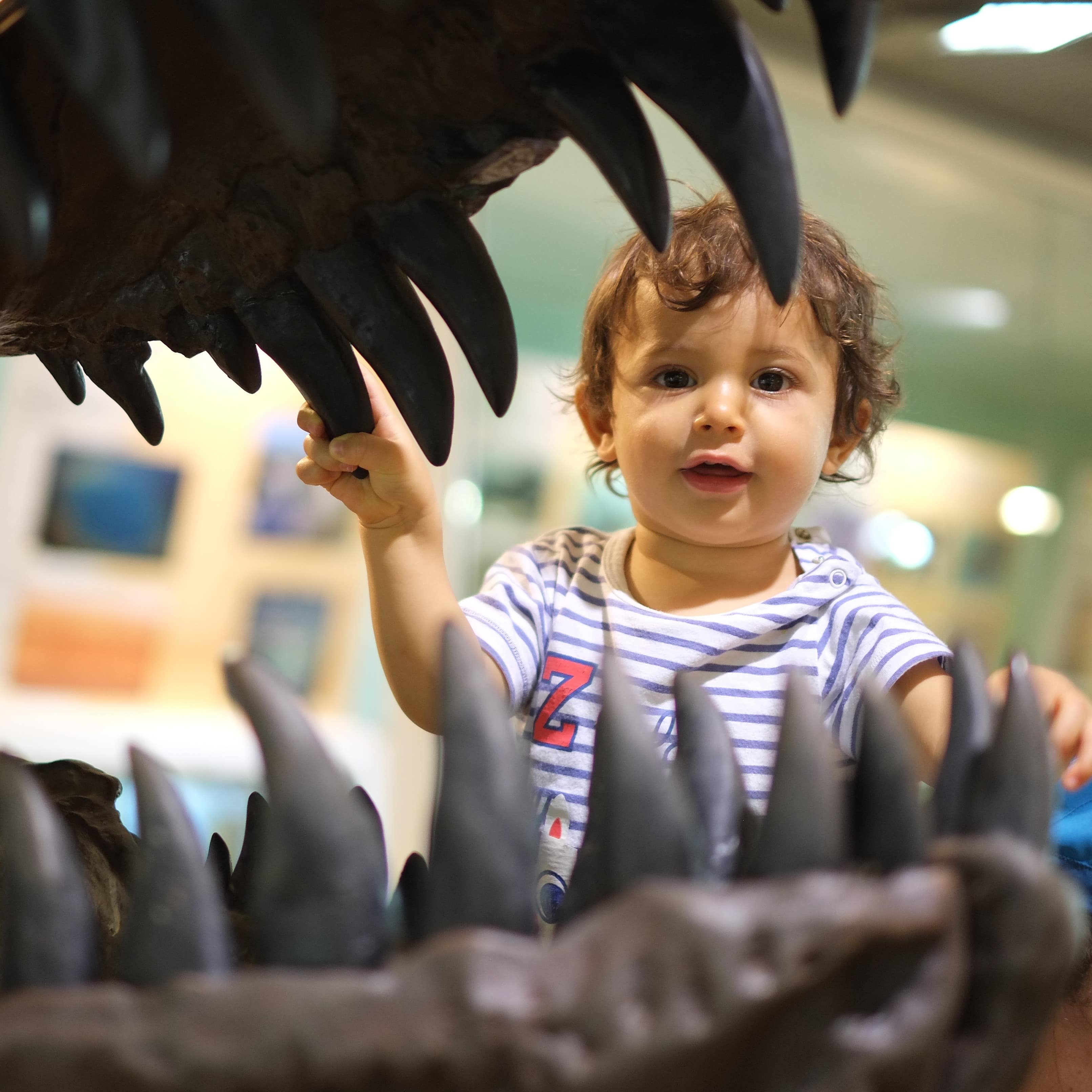 Toddler looking into mouth of a large dinosaur replica