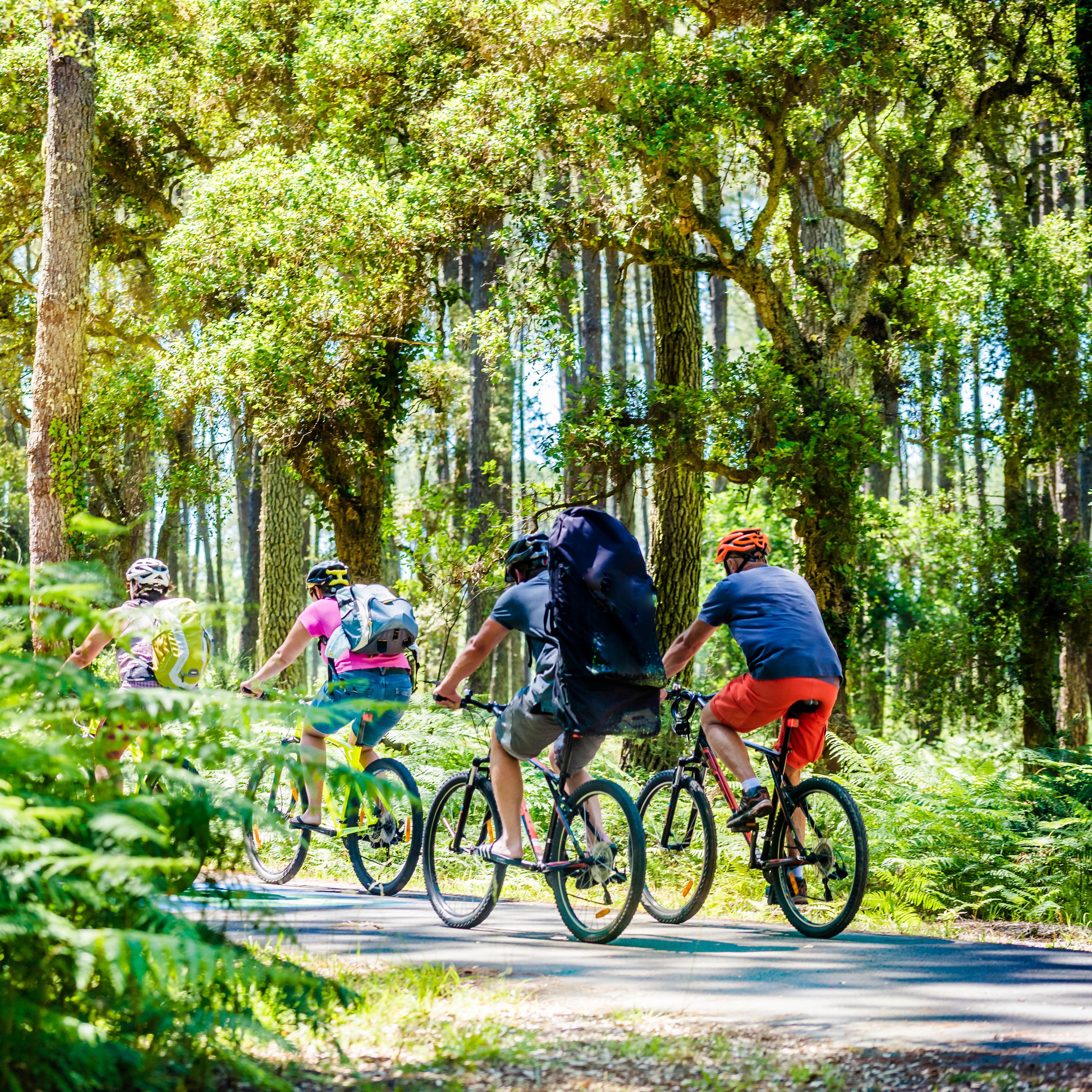 Group biking through woods on a trail