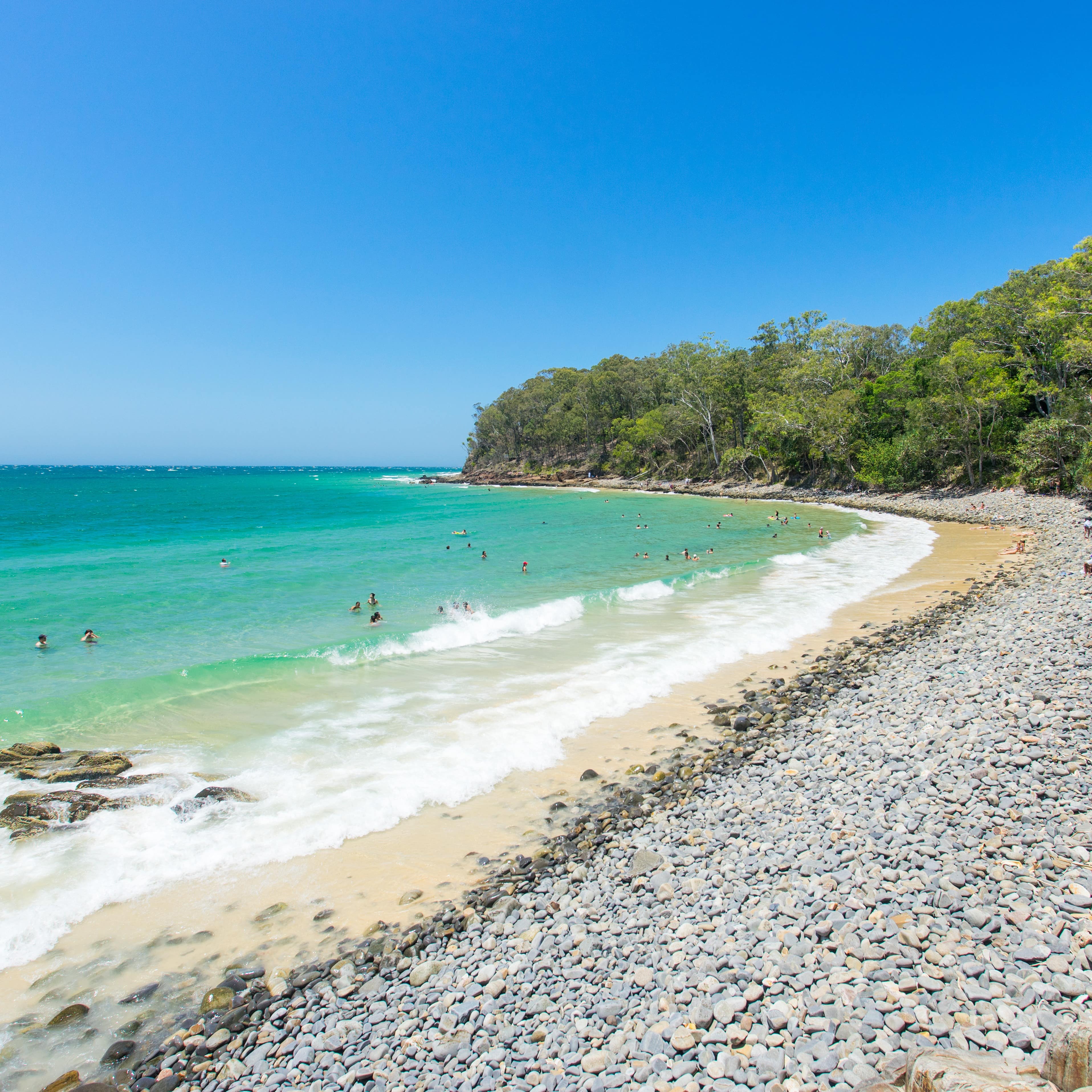 People enjoy the incredible blue water of Noosa National park along tree lined beach on Queensland's Sunshine Coast, Australia