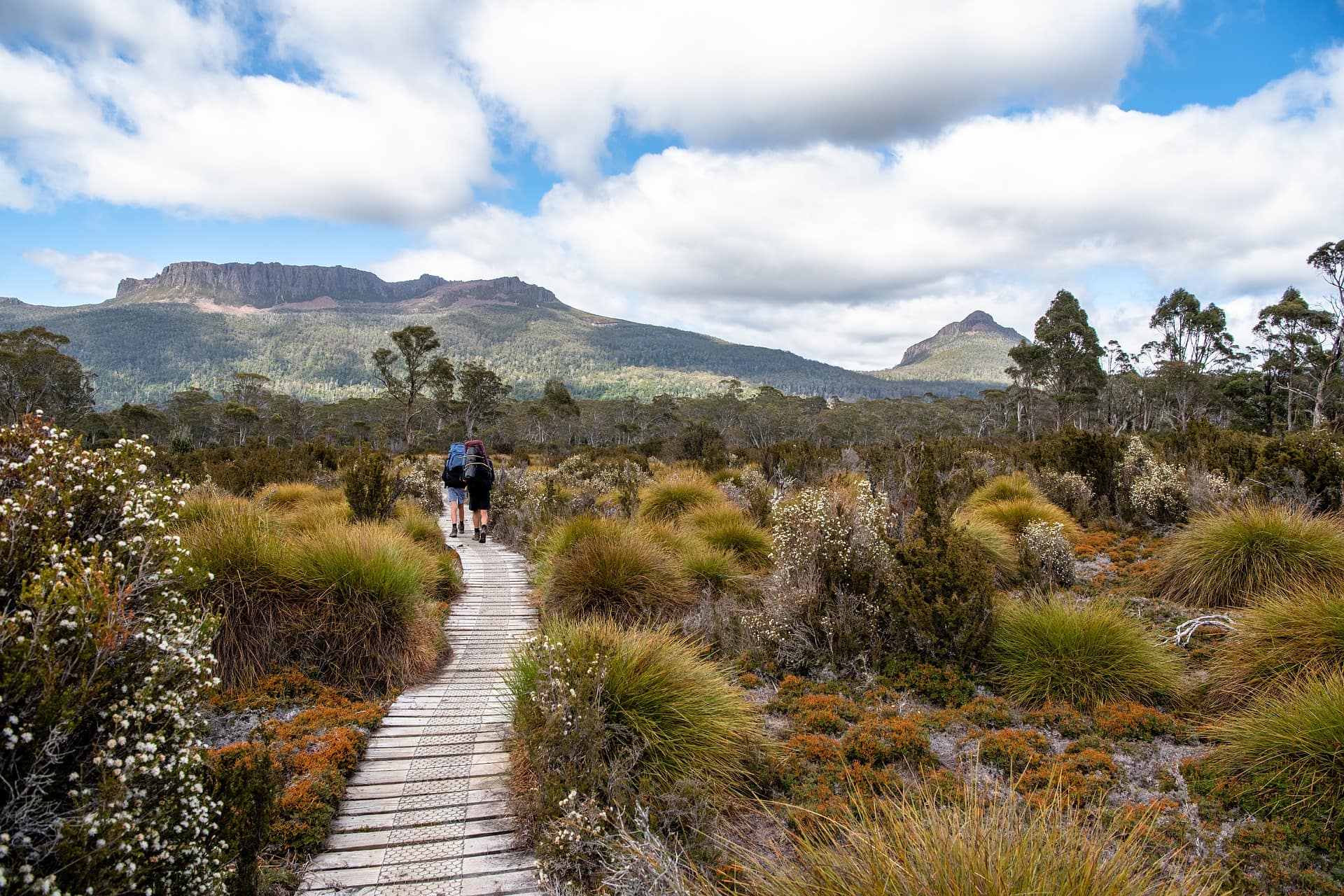 towns in tasmania to visit - people hiking walking in Tasmania - Photo by Pen Ash