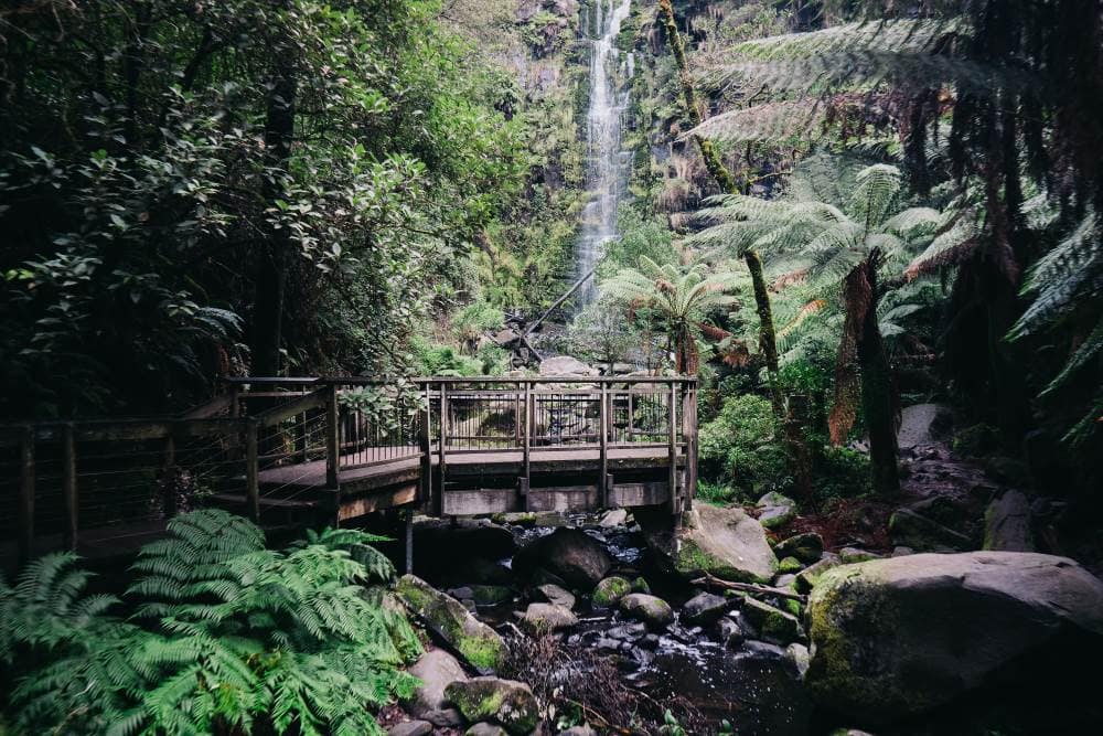 things to do in lorne - Erskine Falls