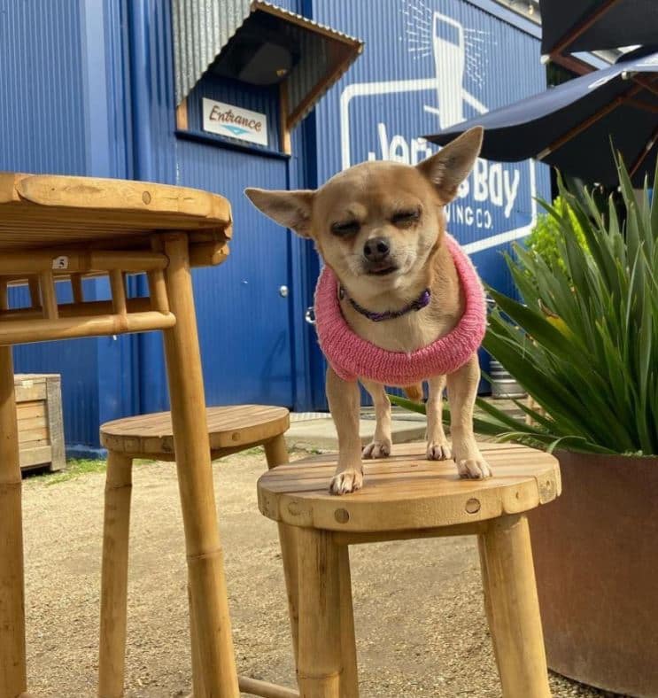 AU Jervis Bay Brewing Co NSW
