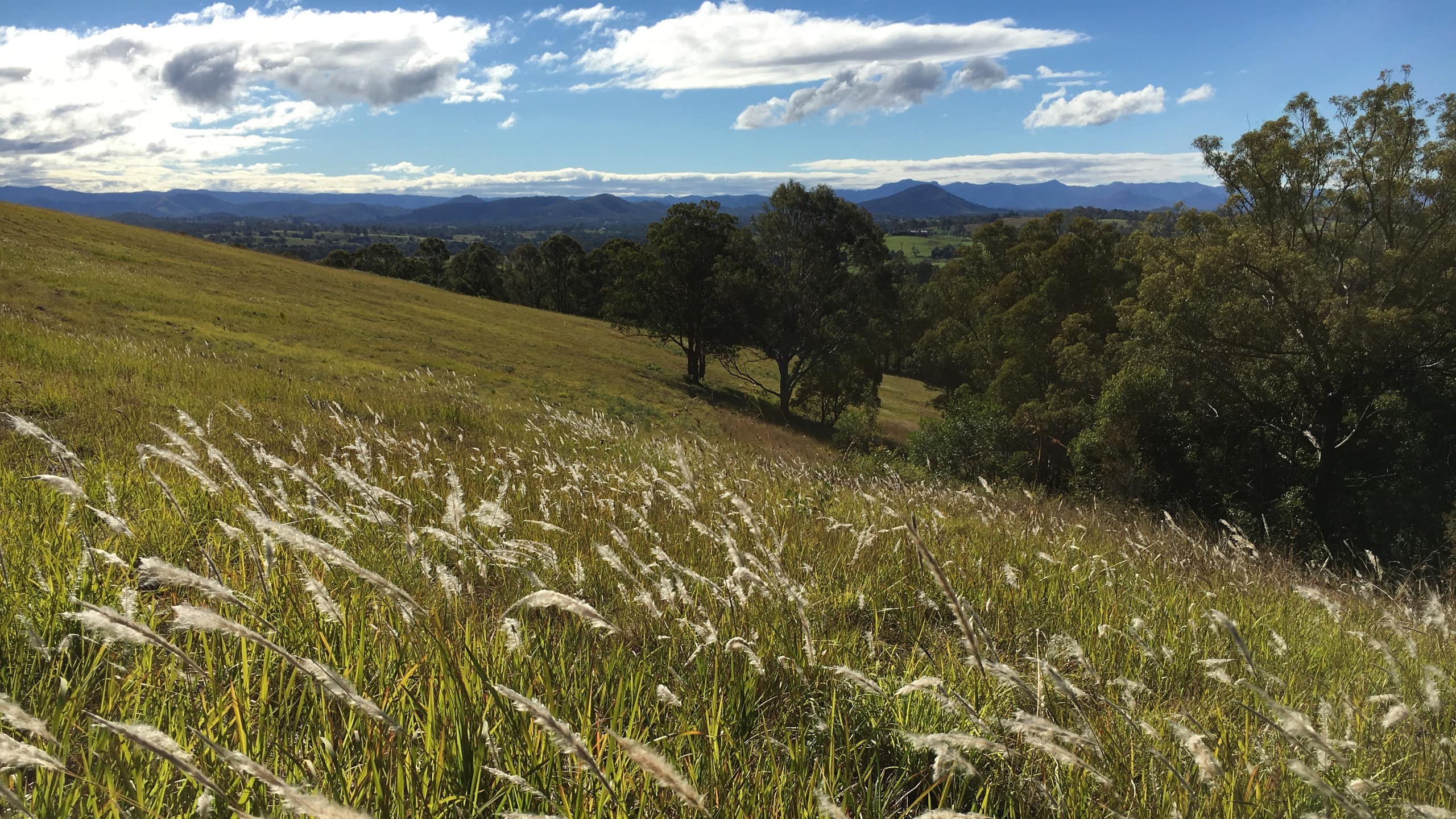 Kick your shoes off in your Taree accommodation