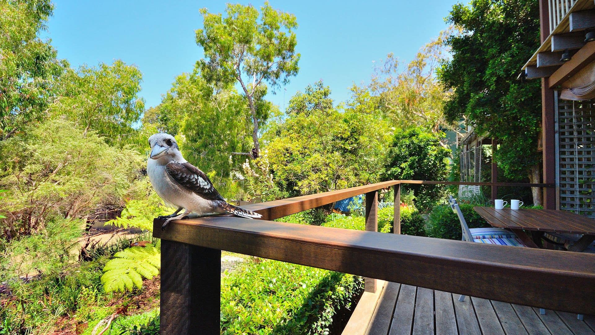 Discover exciting Queensland holiday deals
