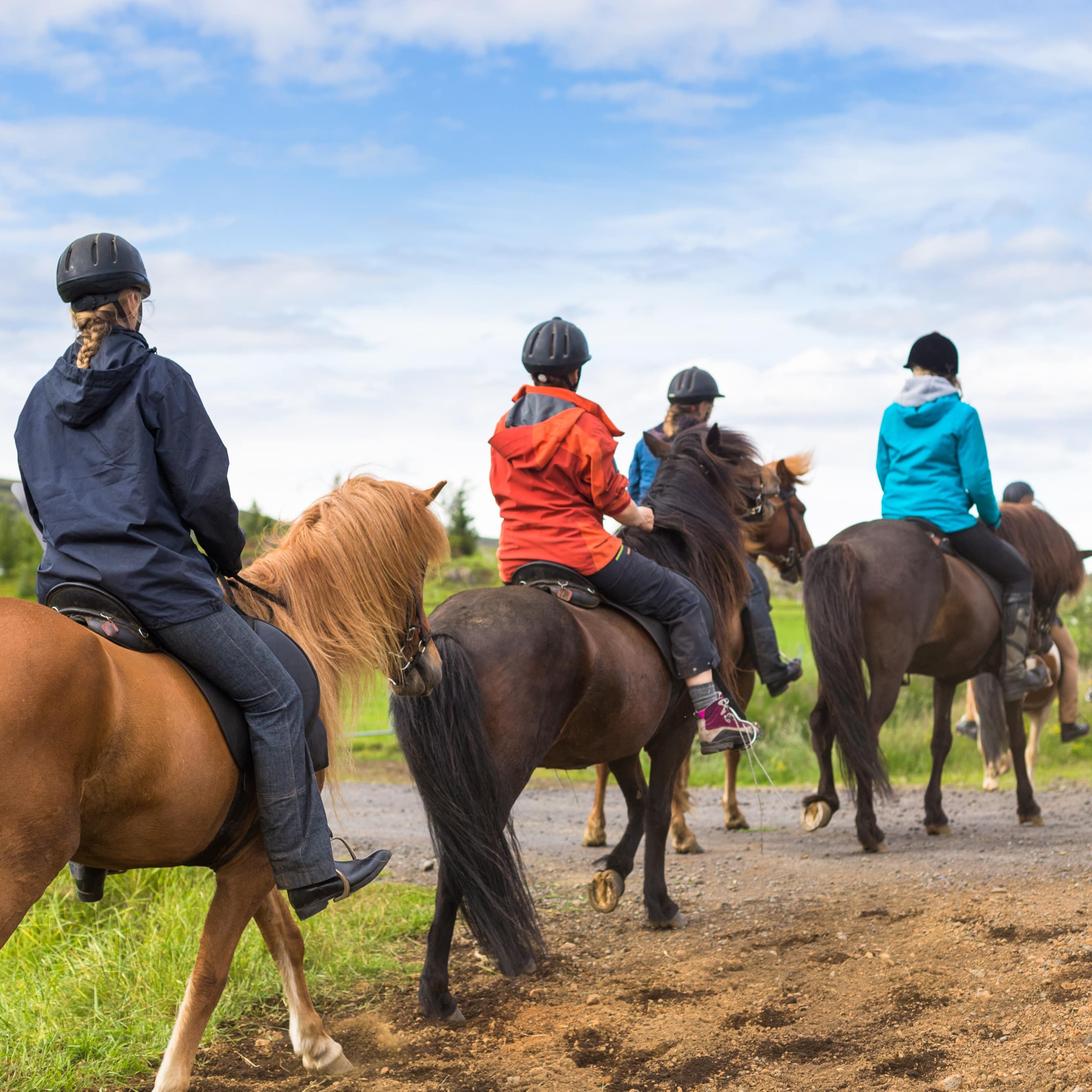 Rear view of group going horseback riding