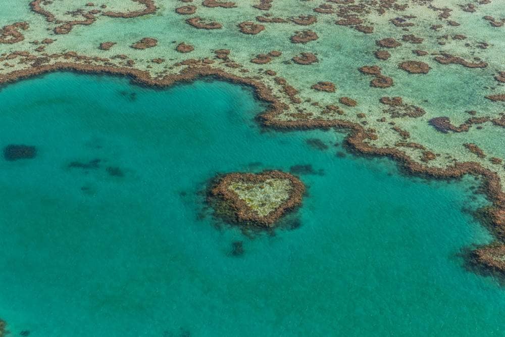 things to do on hamilton island - Great Barrier Reef Heart Reef