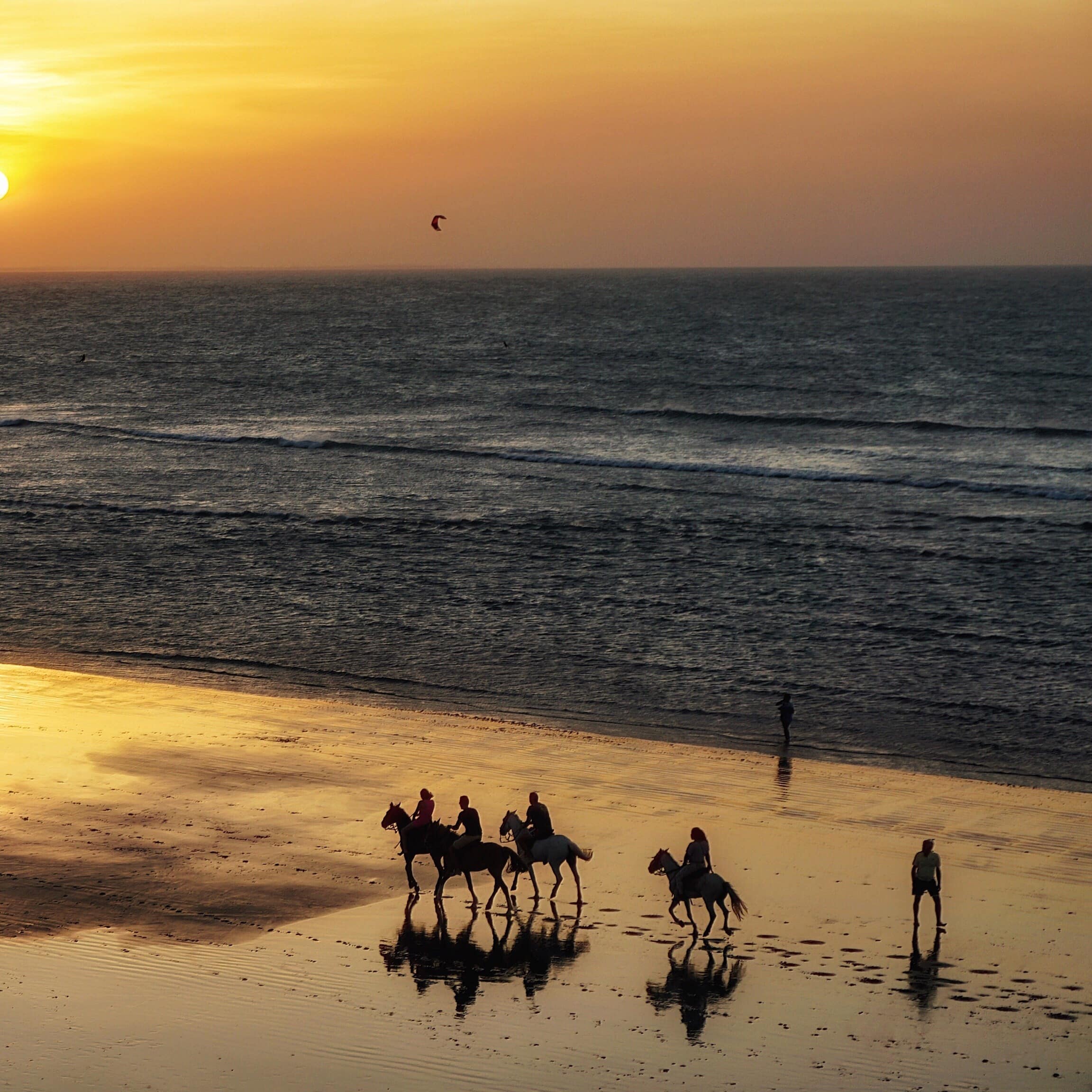 High angle view of people riding horses and people walking on beach at sunset
