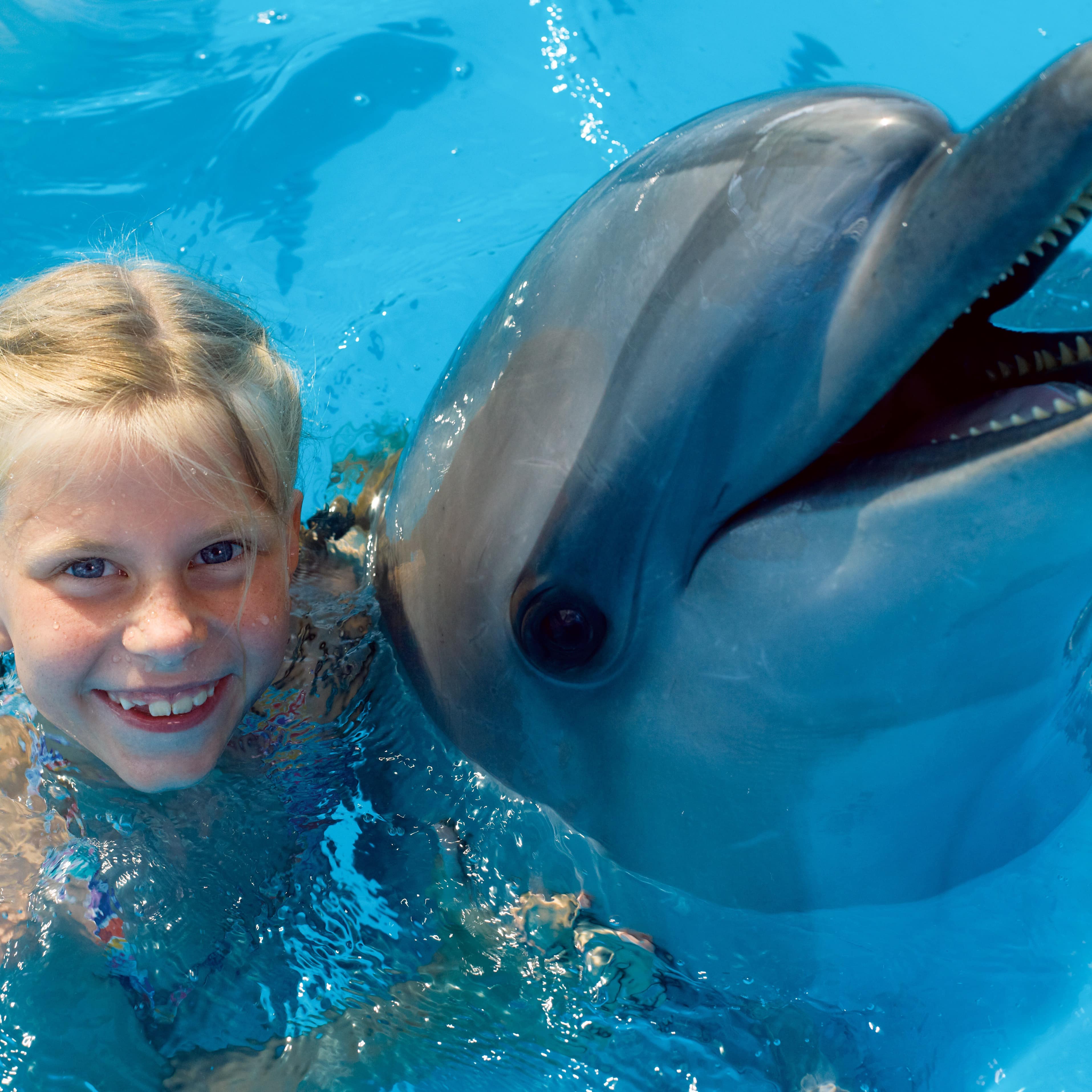 Girl swimming with dolphin
