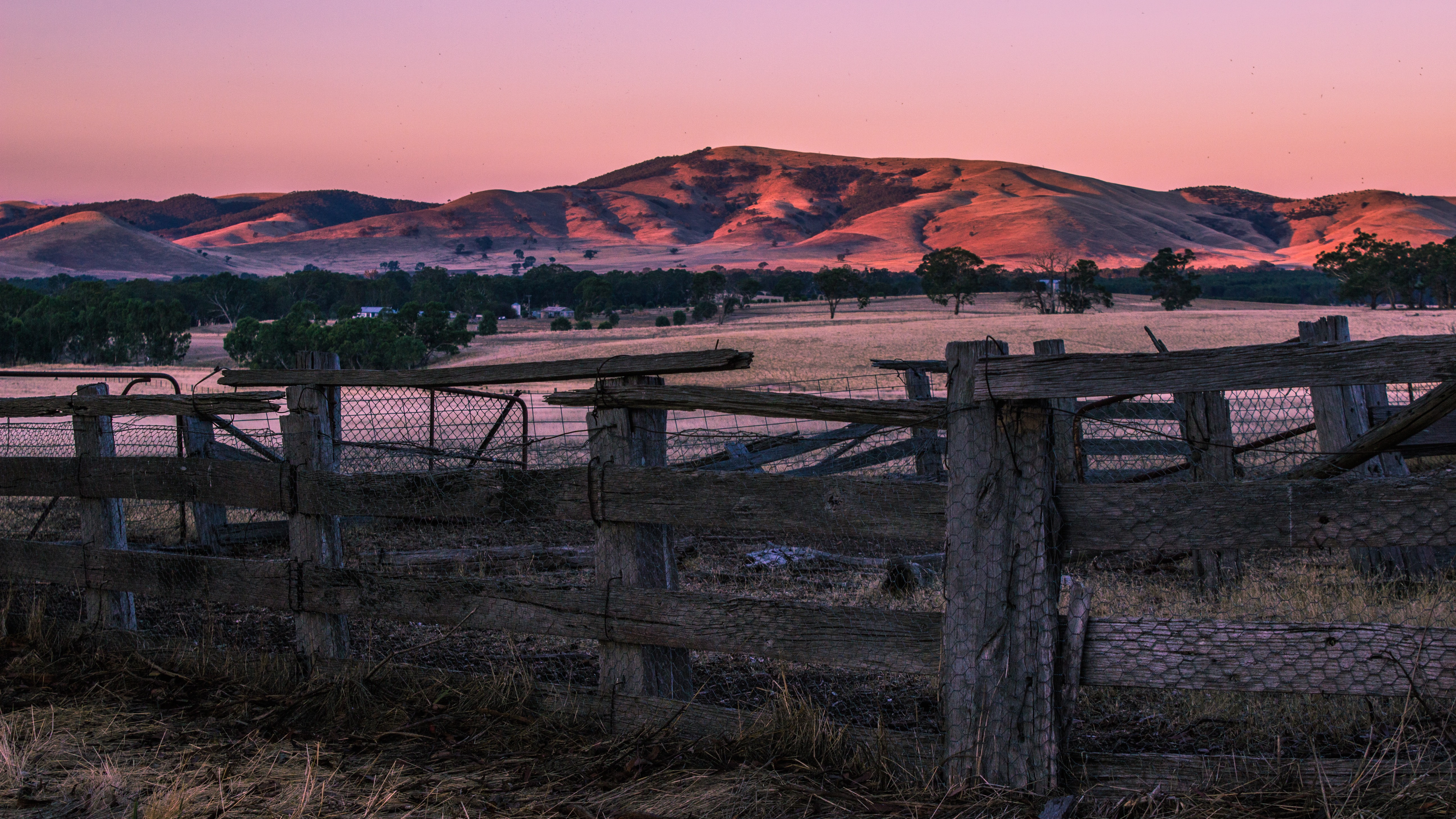 The best of all worlds at farm stays near Sydney