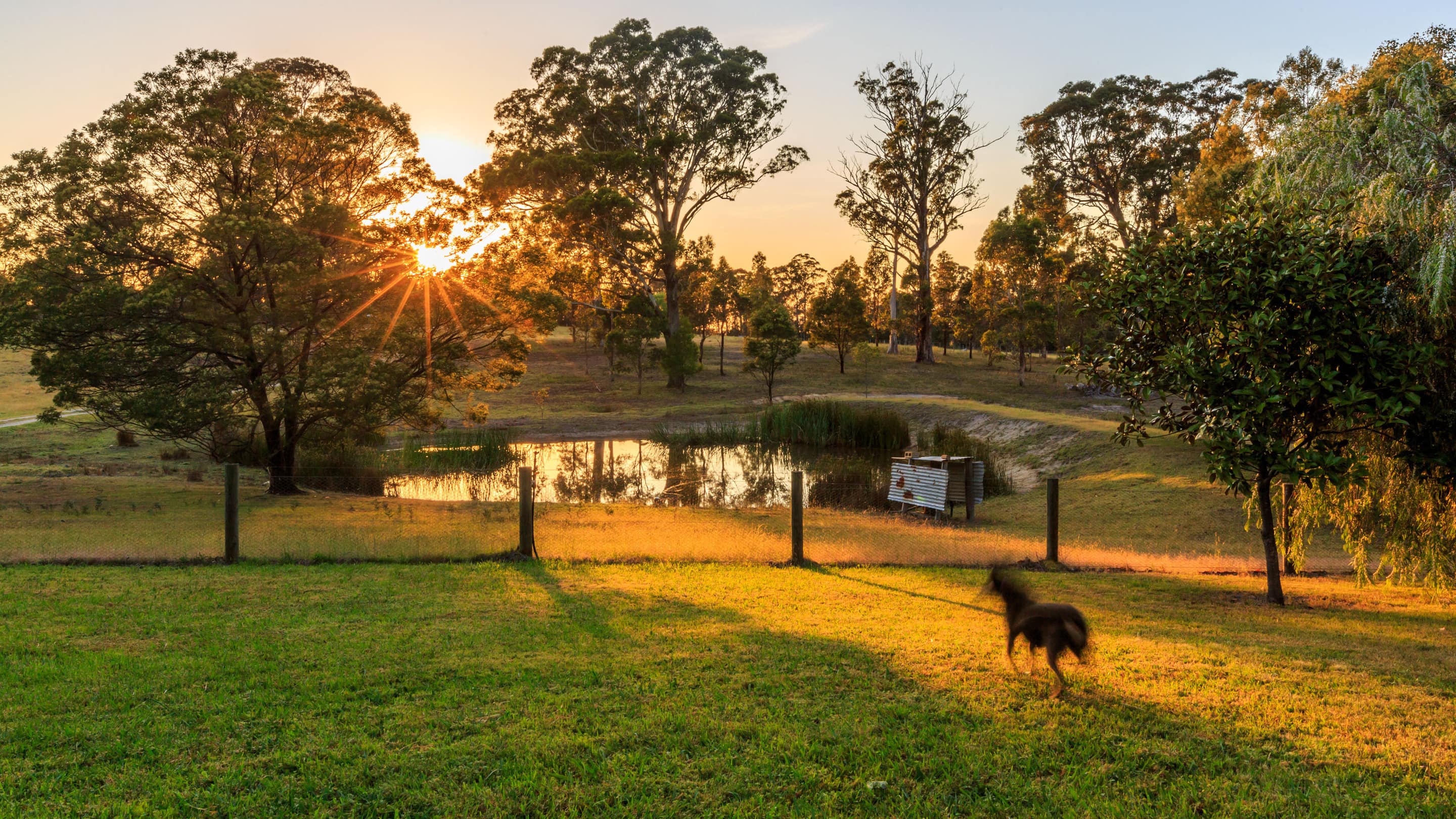 Set out in the waterways and savour your holiday at your Lakes Entrance accommodation