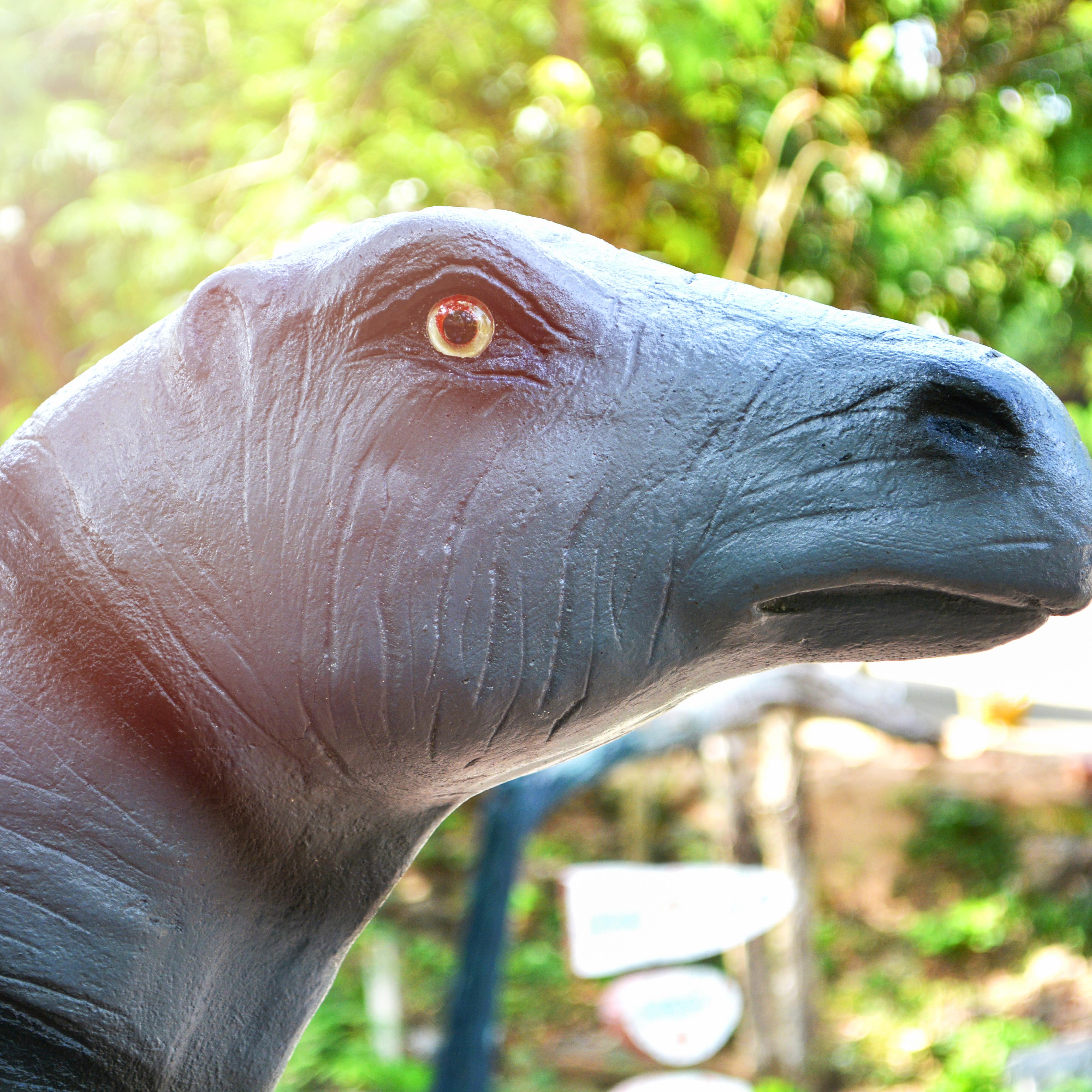 Head of Alamosaurus dinosaur statue in garden park
