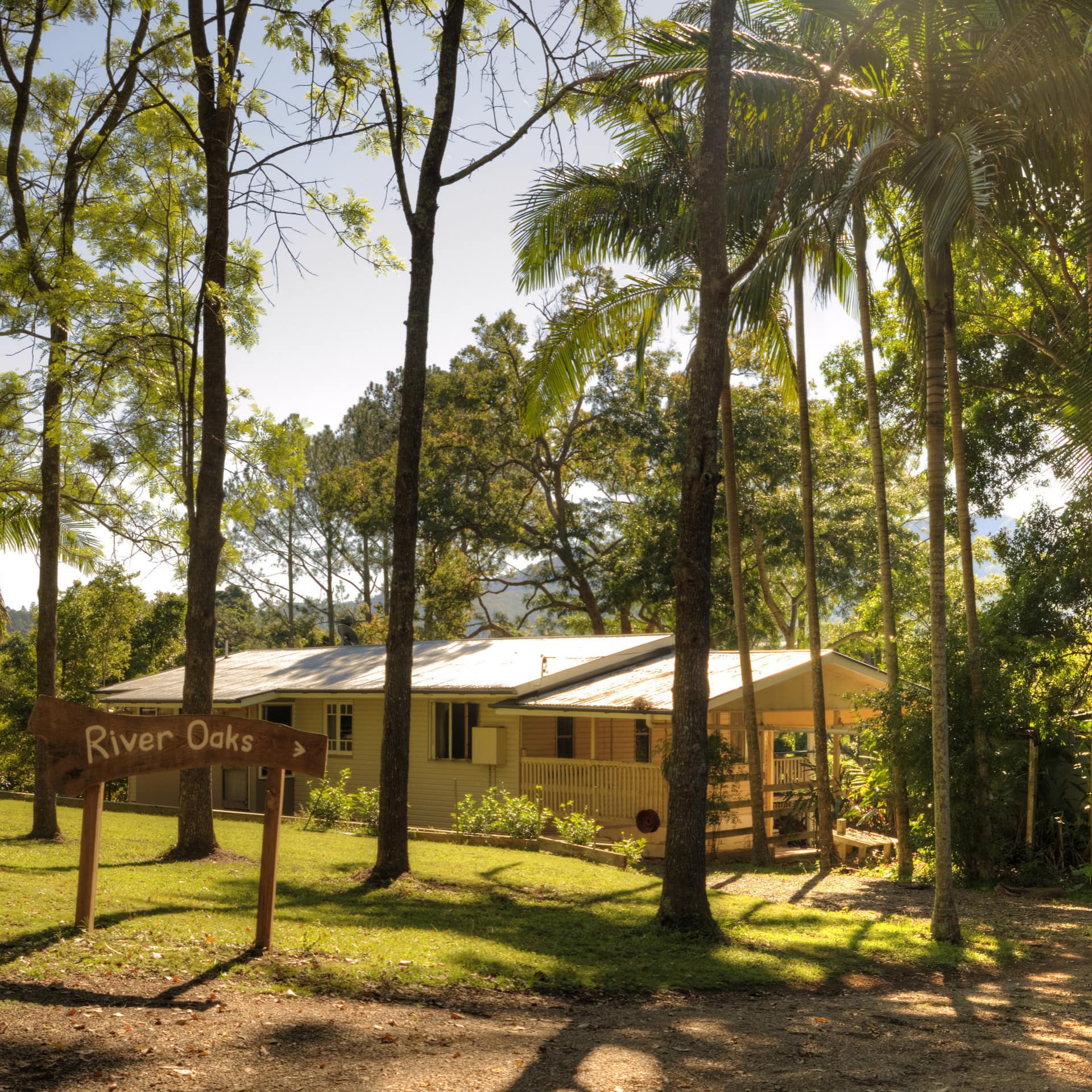 Sunny view of the exterior of a ranch-style home with a sign reading River Oaks, palm trees surrounding the home.